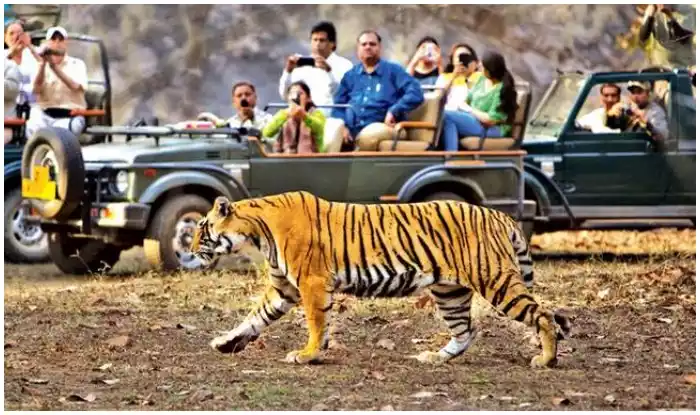  जिम कोर्बेट नेशनल पार्क, उत्तराखंड