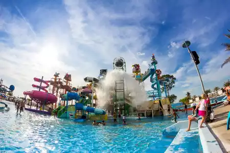 shark water park Photo