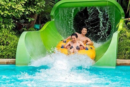 kinex water park